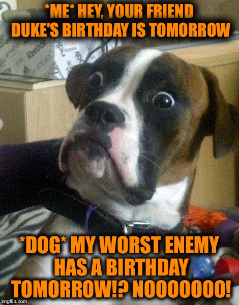 Surprised Dog | *ME* HEY, YOUR FRIEND DUKE'S BIRTHDAY IS TOMORROW; *DOG* MY WORST ENEMY HAS A BIRTHDAY TOMORROW!? NOOOOOOO! | image tagged in surprised dog | made w/ Imgflip meme maker