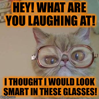 Funny Cat with Glasses | HEY! WHAT ARE YOU LAUGHING AT! I THOUGHT I WOULD LOOK SMART IN THESE GLASSES! | image tagged in funny cat with glasses | made w/ Imgflip meme maker