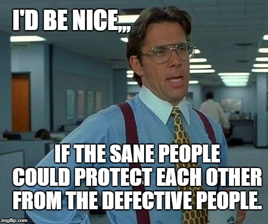 That Would Be Great | I'D BE NICE,,, IF THE SANE PEOPLE COULD PROTECT EACH OTHER FROM THE DEFECTIVE PEOPLE. | image tagged in memes,that would be great | made w/ Imgflip meme maker