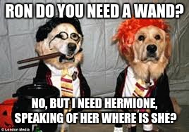 RON DO YOU NEED A WAND? NO, BUT I NEED HERMIONE, SPEAKING OF HER WHERE IS SHE? | image tagged in hairy pawter and bone measley | made w/ Imgflip meme maker