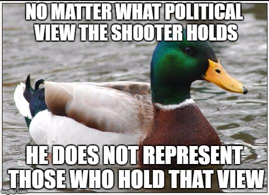 Actual Advice Mallard Meme | NO MATTER WHAT POLITICAL VIEW THE SHOOTER HOLDS; HE DOES NOT REPRESENT THOSE WHO HOLD THAT VIEW | image tagged in memes,actual advice mallard,AdviceAnimals | made w/ Imgflip meme maker