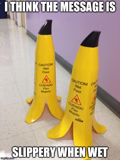 I know many young ladies that, when given a banana become wet and slippery | I THINK THE MESSAGE IS; SLIPPERY WHEN WET | image tagged in wet floor cones,banana | made w/ Imgflip meme maker