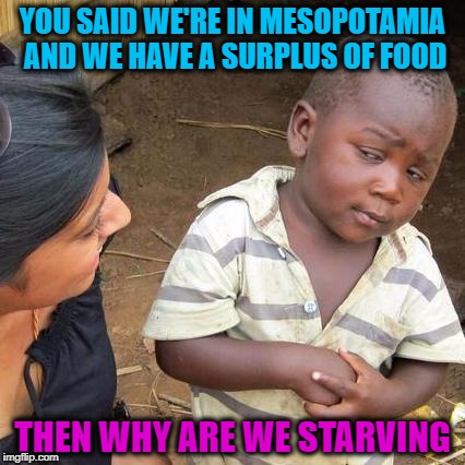 Third World Skeptical Kid | YOU SAID WE'RE IN MESOPOTAMIA AND WE HAVE A SURPLUS OF FOOD; THEN WHY ARE WE STARVING | image tagged in memes,third world skeptical kid | made w/ Imgflip meme maker