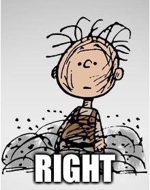 Pig Pen | RIGHT | image tagged in pig pen | made w/ Imgflip meme maker