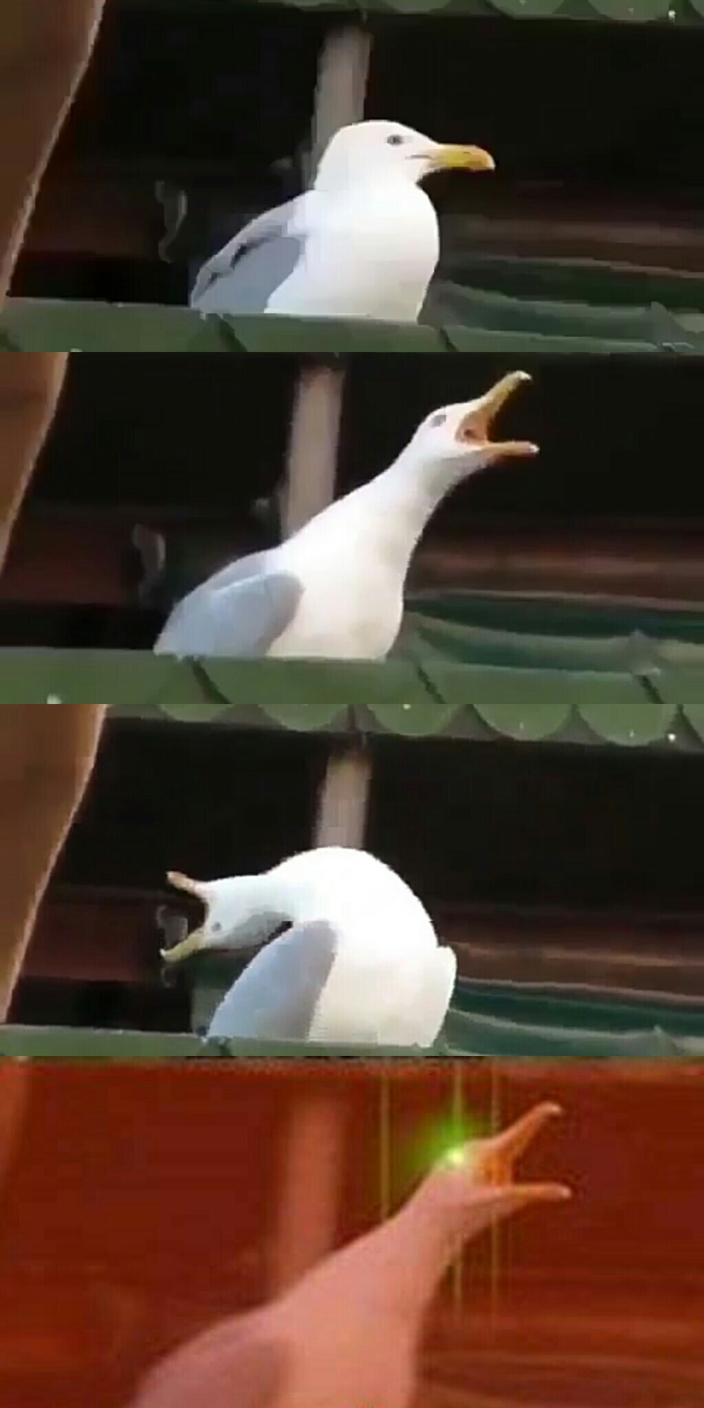 Gaviota Intensa Blank Meme Template
