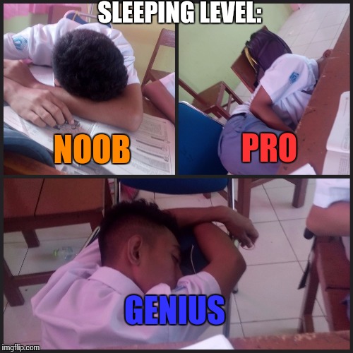 SLEEPING LEVEL:; NOOB; PRO; GENIUS | image tagged in sleeping level | made w/ Imgflip meme maker