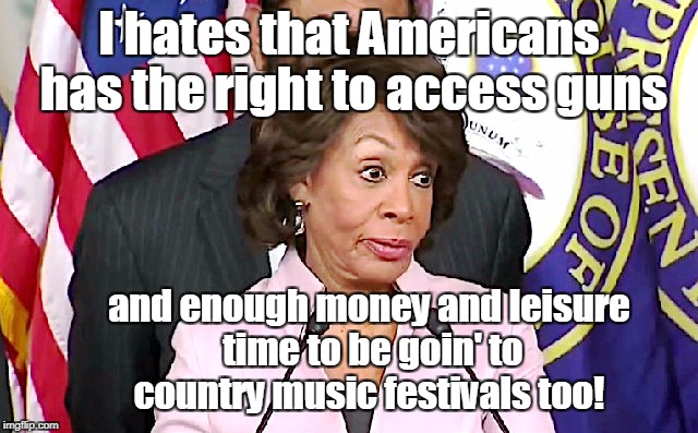 maxine answers questions | I hates that Americans has the right to access guns and enough money and leisure time to be goin' to country music festivals too! | image tagged in maxine answers questions | made w/ Imgflip meme maker