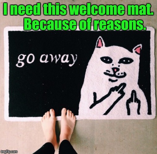 You know that if you put this on your porch,someone's gonna take it.  | I need this welcome mat. 
    Because of reasons. | image tagged in funny picture,welcome,cat,middle finger | made w/ Imgflip meme maker