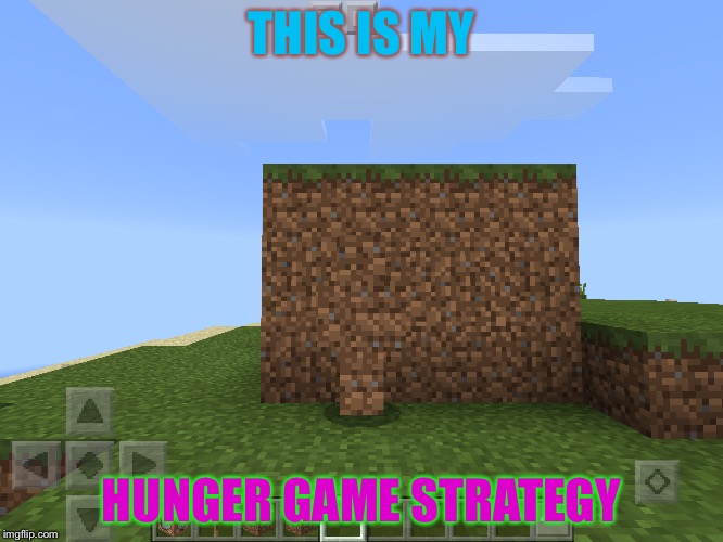 hunger game strat | THIS IS MY; HUNGER GAME STRATEGY | image tagged in hunger games,war,minecraft,that moment when,when you see it | made w/ Imgflip meme maker