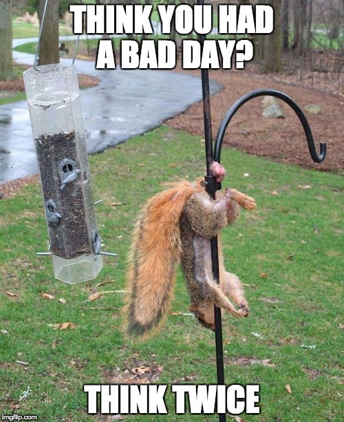 THINK YOU HAD A BAD DAY? THINK TWICE | image tagged in funny,think,bad day | made w/ Imgflip meme maker