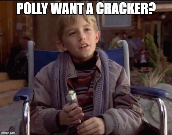 Pretty Bird | POLLY WANT A CRACKER? | image tagged in pretty bird,dumb and dumber,memes,funny,hiho spalding general,elmers | made w/ Imgflip meme maker