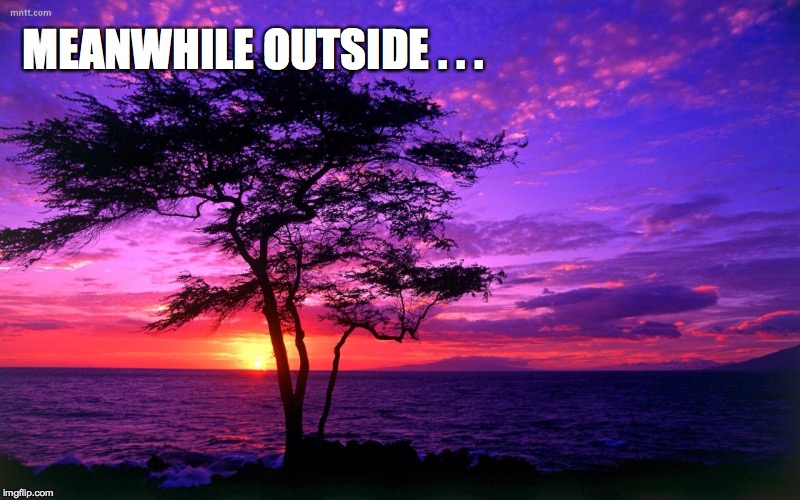 MEANWHILE OUTSIDE . . . | made w/ Imgflip meme maker