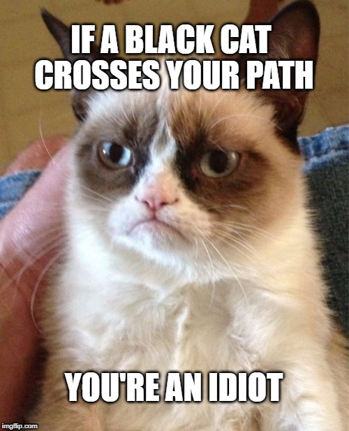 Grumpy Cat | IF A BLACK CAT CROSSES YOUR PATH; YOU'RE AN IDIOT | image tagged in memes,october,black cat,grumpy cat,you're an idiot,what if i told you | made w/ Imgflip meme maker