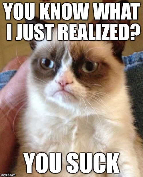 Grumpy Cat Meme | YOU KNOW WHAT I JUST REALIZED? YOU SUCK | image tagged in memes,grumpy cat | made w/ Imgflip meme maker