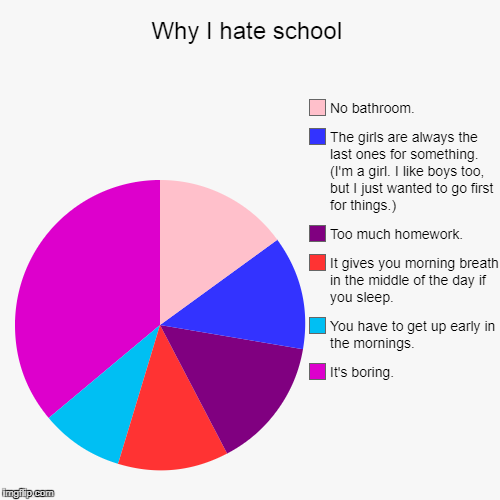 Why I hate school | image tagged in funny,pie charts,i hate school | made w/ Imgflip chart maker