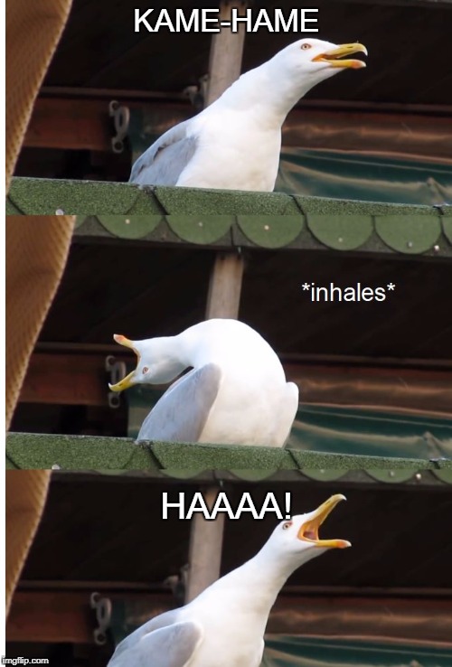 Inhaling seagull | KAME-HAME; HAAAA! | image tagged in inhaling seagull | made w/ Imgflip meme maker