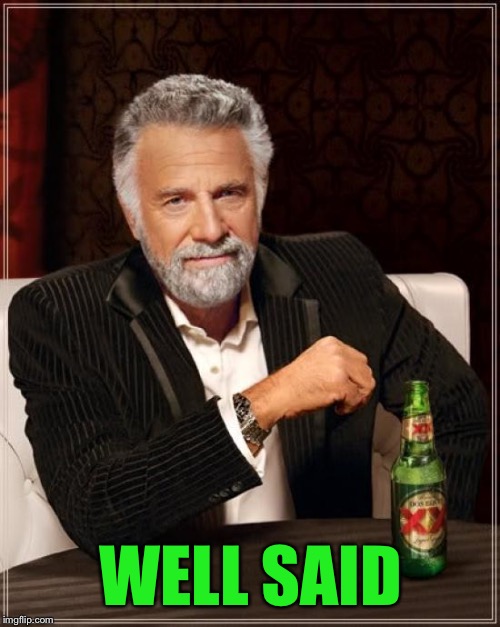 The Most Interesting Man In The World Meme | WELL SAID | image tagged in memes,the most interesting man in the world | made w/ Imgflip meme maker