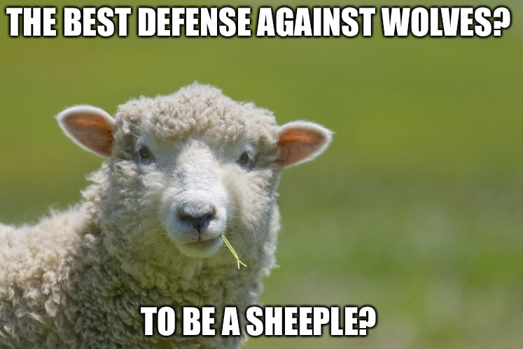Sheeple | THE BEST DEFENSE AGAINST WOLVES? TO BE A SHEEPLE? | image tagged in sheeple | made w/ Imgflip meme maker