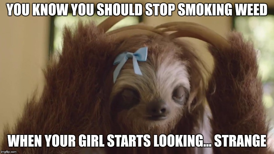 Visual Warning Signs | YOU KNOW YOU SHOULD STOP SMOKING WEED; WHEN YOUR GIRL STARTS LOOKING… STRANGE | image tagged in memes,funny,girl,weed,stop | made w/ Imgflip meme maker