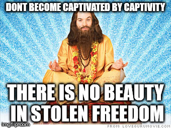 Sage guru | DONT BECOME CAPTIVATED BY CAPTIVITY; THERE IS NO BEAUTY IN STOLEN FREEDOM | image tagged in guru,funny memes,sage,memes | made w/ Imgflip meme maker