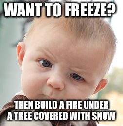 Skeptical Baby Meme | WANT TO FREEZE? THEN BUILD A FIRE UNDER A TREE COVERED WITH SNOW | image tagged in memes,skeptical baby | made w/ Imgflip meme maker