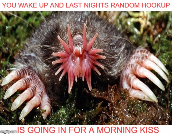 good from far but far from good  | YOU WAKE UP AND LAST NIGHTS RANDOM HOOKUP; IS GOING IN FOR A MORNING KISS | image tagged in kisses,bad morning,memes,funny,meme wars week | made w/ Imgflip meme maker