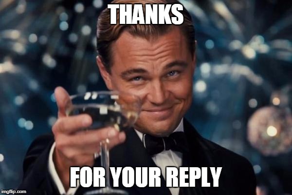 THANKS FOR YOUR REPLY | image tagged in memes,leonardo dicaprio cheers | made w/ Imgflip meme maker