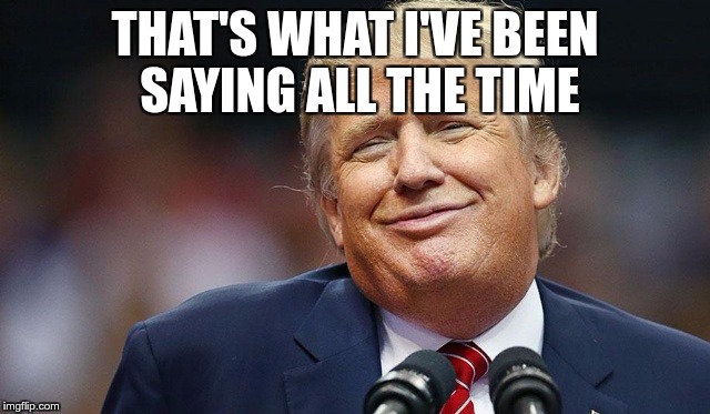 Trump Oopsie | THAT'S WHAT I'VE BEEN SAYING ALL THE TIME | image tagged in trump oopsie | made w/ Imgflip meme maker