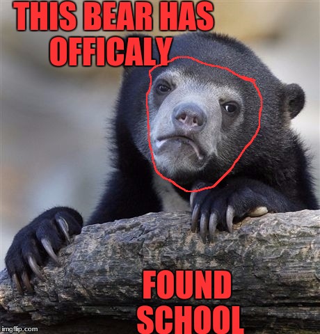 Confession Bear Meme | THIS BEAR HAS OFFICALY; FOUND SCHOOL | image tagged in memes,confession bear | made w/ Imgflip meme maker
