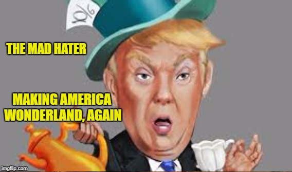 America in Wonderland | THE MAD HATER; MAKING AMERICA WONDERLAND, AGAIN | image tagged in america,wonderland | made w/ Imgflip meme maker