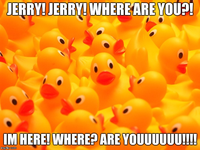 RUbber DUcks | JERRY! JERRY! WHERE ARE YOU?! IM HERE! WHERE? ARE YOUUUUUU!!!! | image tagged in rubber ducks | made w/ Imgflip meme maker