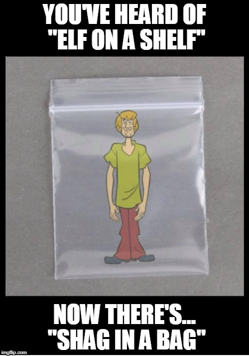 "C'mon, Scooby, this mystery's in the bag." | YOU'VE HEARD OF "ELF ON A SHELF"; NOW THERE'S... "SHAG IN A BAG" | image tagged in vince vance,shaggy,scooby doo,plastic bag,norville shaggy rogers,scooby-doo | made w/ Imgflip meme maker
