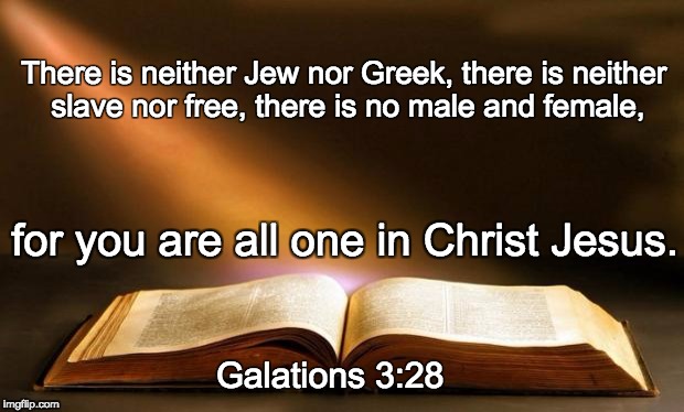 Bible  | There is neither Jew nor Greek, there is neither slave nor free, there is no male and female, for you are all one in Christ Jesus. Galations 3:28 | image tagged in bible | made w/ Imgflip meme maker