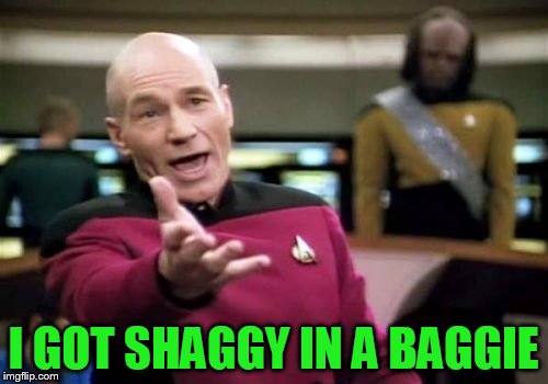 Picard Wtf Meme | I GOT SHAGGY IN A BAGGIE | image tagged in memes,picard wtf | made w/ Imgflip meme maker