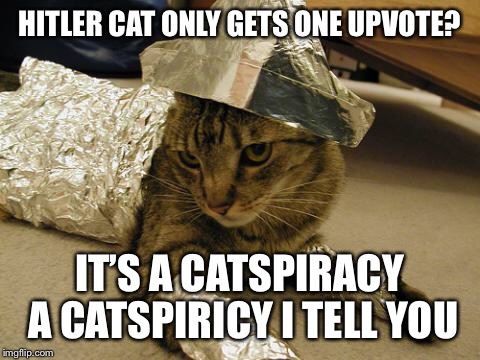 Hitler Cat - Imgflip