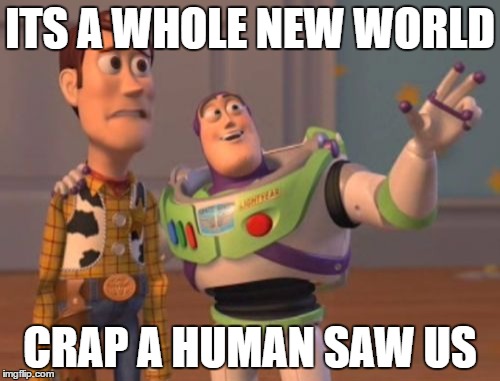 X, X Everywhere Meme | ITS A WHOLE NEW WORLD; CRAP A HUMAN SAW US | image tagged in memes,x x everywhere | made w/ Imgflip meme maker