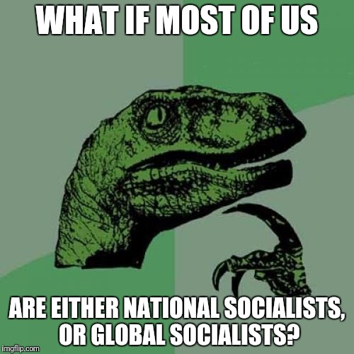 Philosoraptor | WHAT IF MOST OF US; ARE EITHER NATIONAL SOCIALISTS, OR GLOBAL SOCIALISTS? | image tagged in memes,philosoraptor | made w/ Imgflip meme maker
