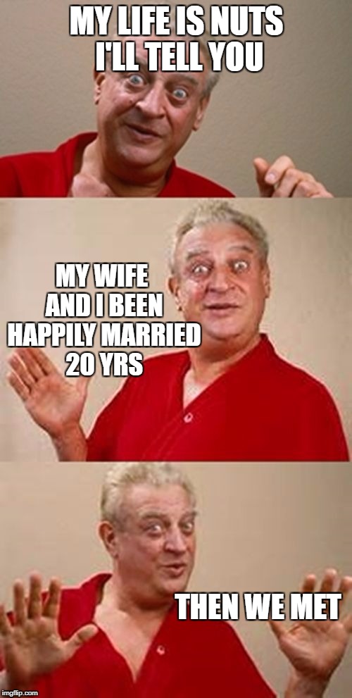 no respwct | MY LIFE IS NUTS I'LL TELL YOU MY WIFE AND I BEEN HAPPILY MARRIED 20 YRS THEN WE MET | image tagged in mwme,wife | made w/ Imgflip meme maker