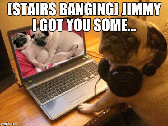 Horny Pug | (STAIRS BANGING) JIMMY I GOT YOU SOME... | image tagged in horny pug | made w/ Imgflip meme maker