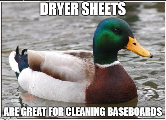 Actual Advice Mallard Meme | DRYER SHEETS; ARE GREAT FOR CLEANING BASEBOARDS | image tagged in memes,actual advice mallard | made w/ Imgflip meme maker