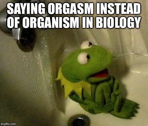 Kermit on Shower | SAYING ORGASM INSTEAD OF ORGANISM IN BIOLOGY | image tagged in kermit on shower | made w/ Imgflip meme maker