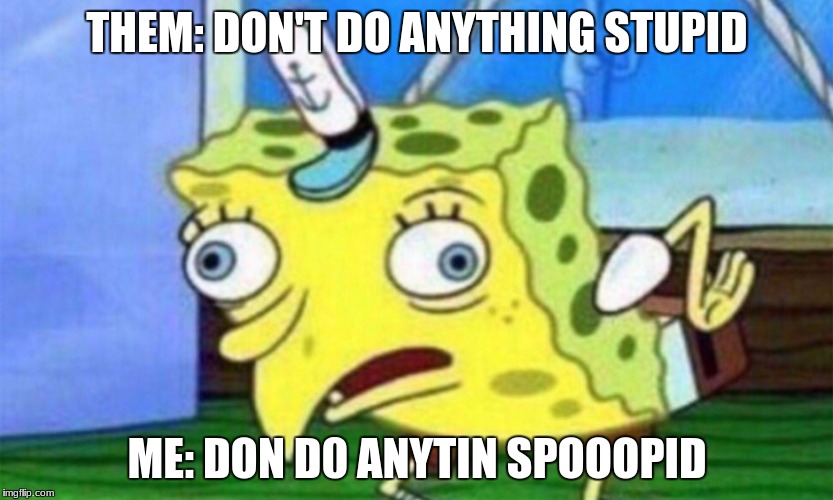 Spongebob mocking  | THEM: DON'T DO ANYTHING STUPID; ME: DON D0 ANYTIN SPOOOPID | image tagged in spongebob mocking | made w/ Imgflip meme maker