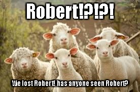 Sheeple | Robert!?!?! We lost Robert! has anyone seen Robert? | image tagged in robert,idiot,sheeple,baaa | made w/ Imgflip meme maker