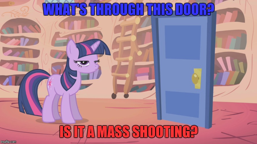 WHAT'S THROUGH THIS DOOR? IS IT A MASS SHOOTING? | made w/ Imgflip meme maker