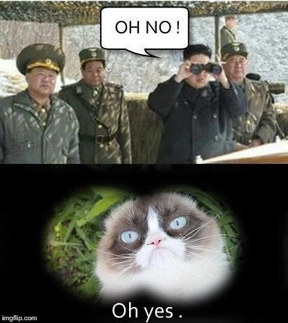 This my son, is how we won the Cold War with North Korea  | image tagged in north korea,grumpy cat | made w/ Imgflip meme maker