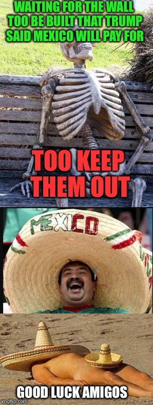 Wasn't this trumps main reason people voted him in to power?  | WAITING FOR THE WALL TOO BE BUILT THAT TRUMP SAID MEXICO WILL PAY FOR; TOO KEEP THEM OUT; GOOD LUCK AMIGOS | image tagged in memes,waiting skeleton,funny | made w/ Imgflip meme maker