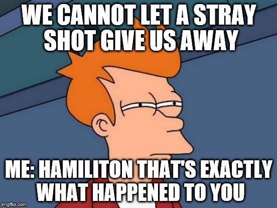 Futurama Fry | WE CANNOT LET A STRAY SHOT GIVE US AWAY; ME: HAMILITON THAT'S EXACTLY WHAT HAPPENED TO YOU | image tagged in memes,futurama fry | made w/ Imgflip meme maker