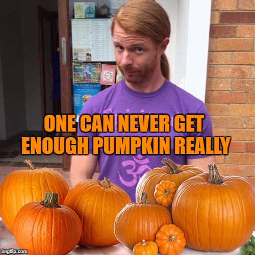 JP Sears Pumpkin Edition | ONE CAN NEVER GET ENOUGH PUMPKIN REALLY | image tagged in jp sears pumpkin edition | made w/ Imgflip meme maker