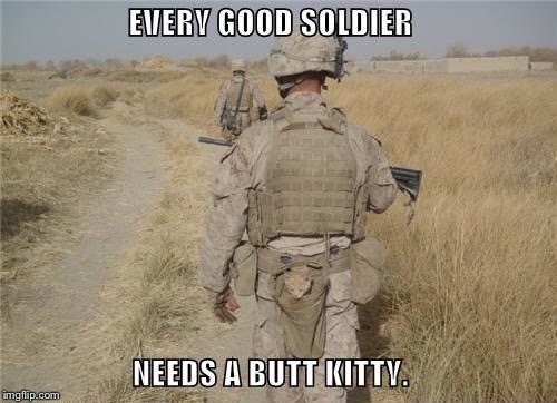 Awww how cute | . | image tagged in army,funny,kitty,soldier | made w/ Imgflip meme maker