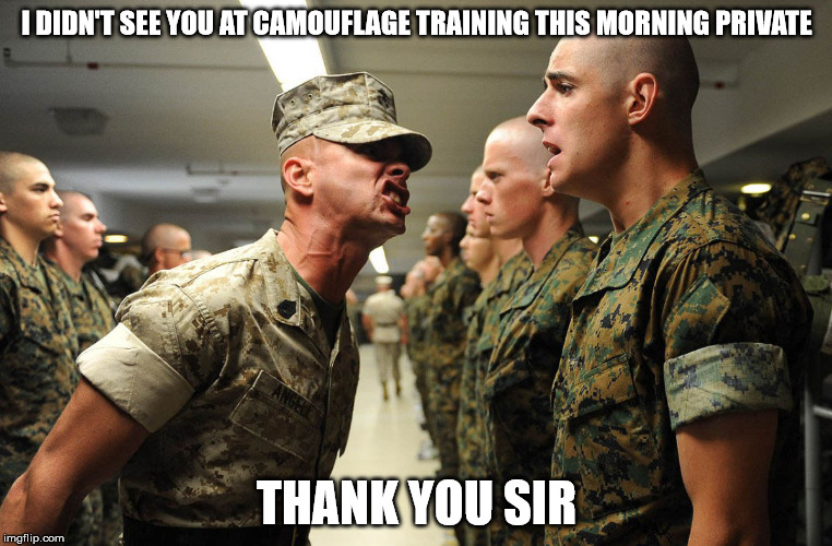 Army banter | I DIDN'T SEE YOU AT CAMOUFLAGE TRAINING THIS MORNING PRIVATE; THANK YOU SIR | image tagged in memes,army | made w/ Imgflip meme maker